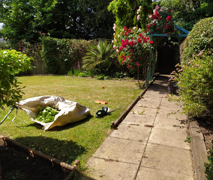 Garden that I maintain in Melton